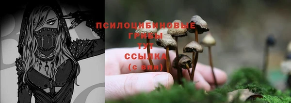 прущая мука Лагань