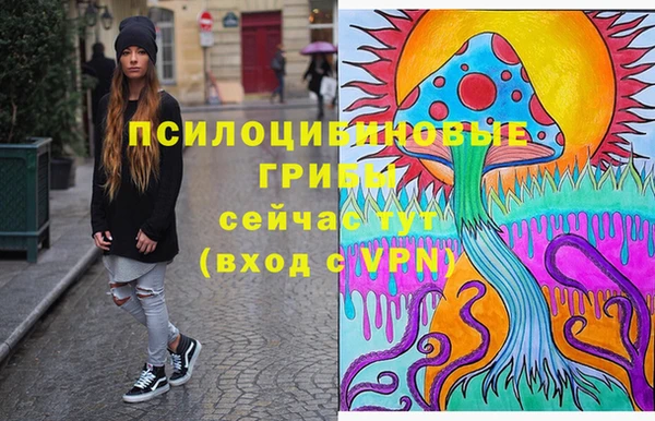 героин Ладушкин