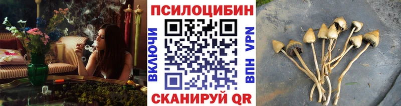 Псилоцибиновые грибы ЛСД Нефтегорск
